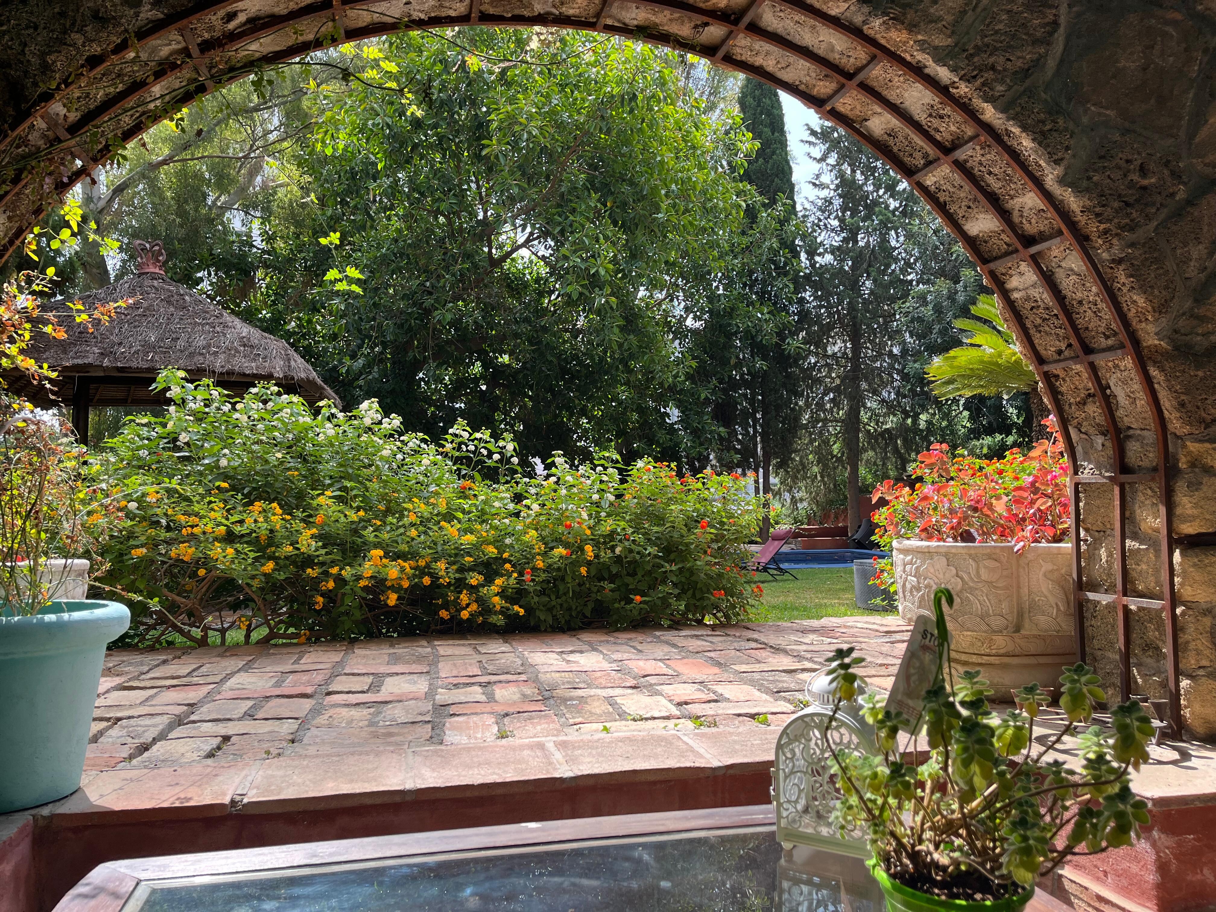 Looking out from our terrace.