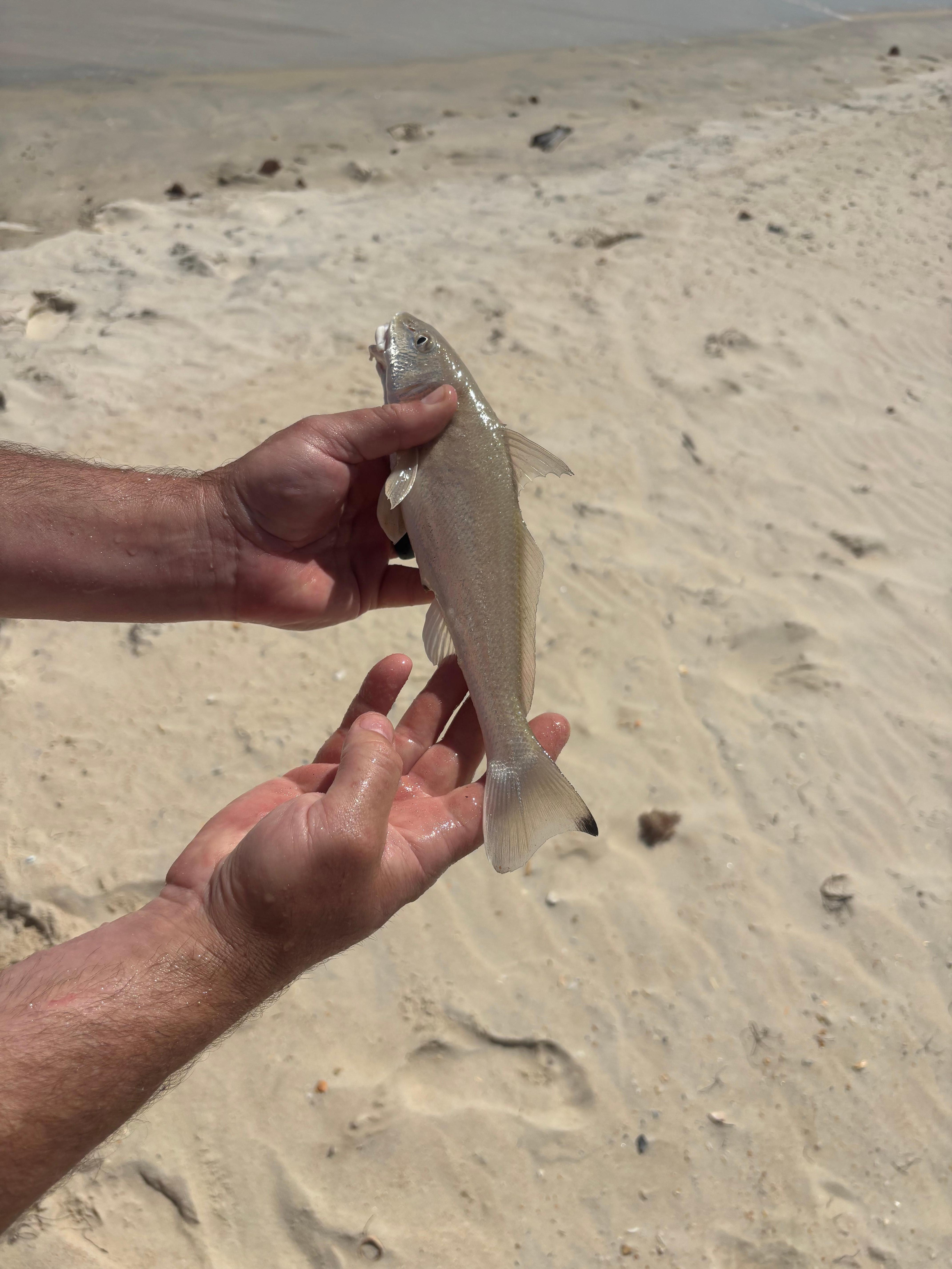 My husband enjoying fishing while we were staying. 