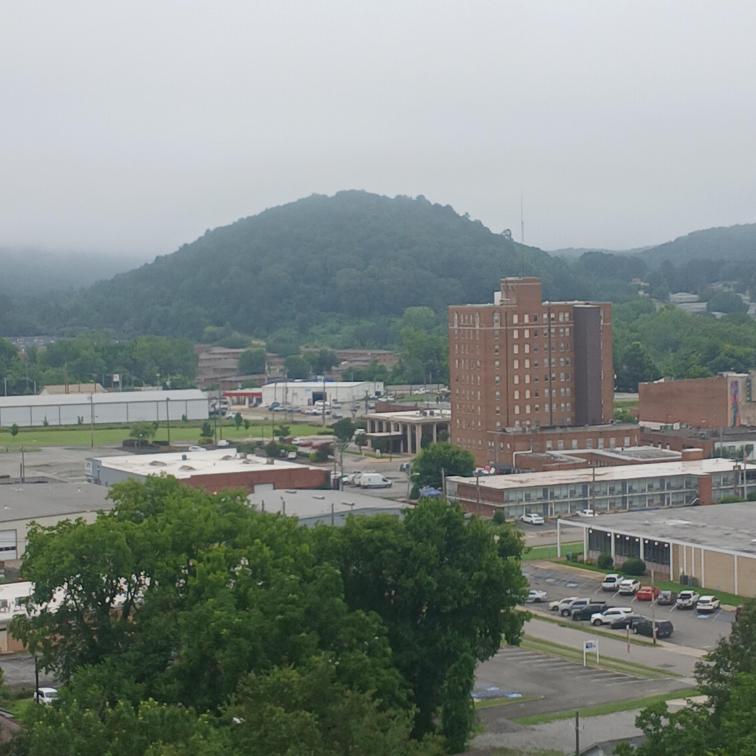 View
