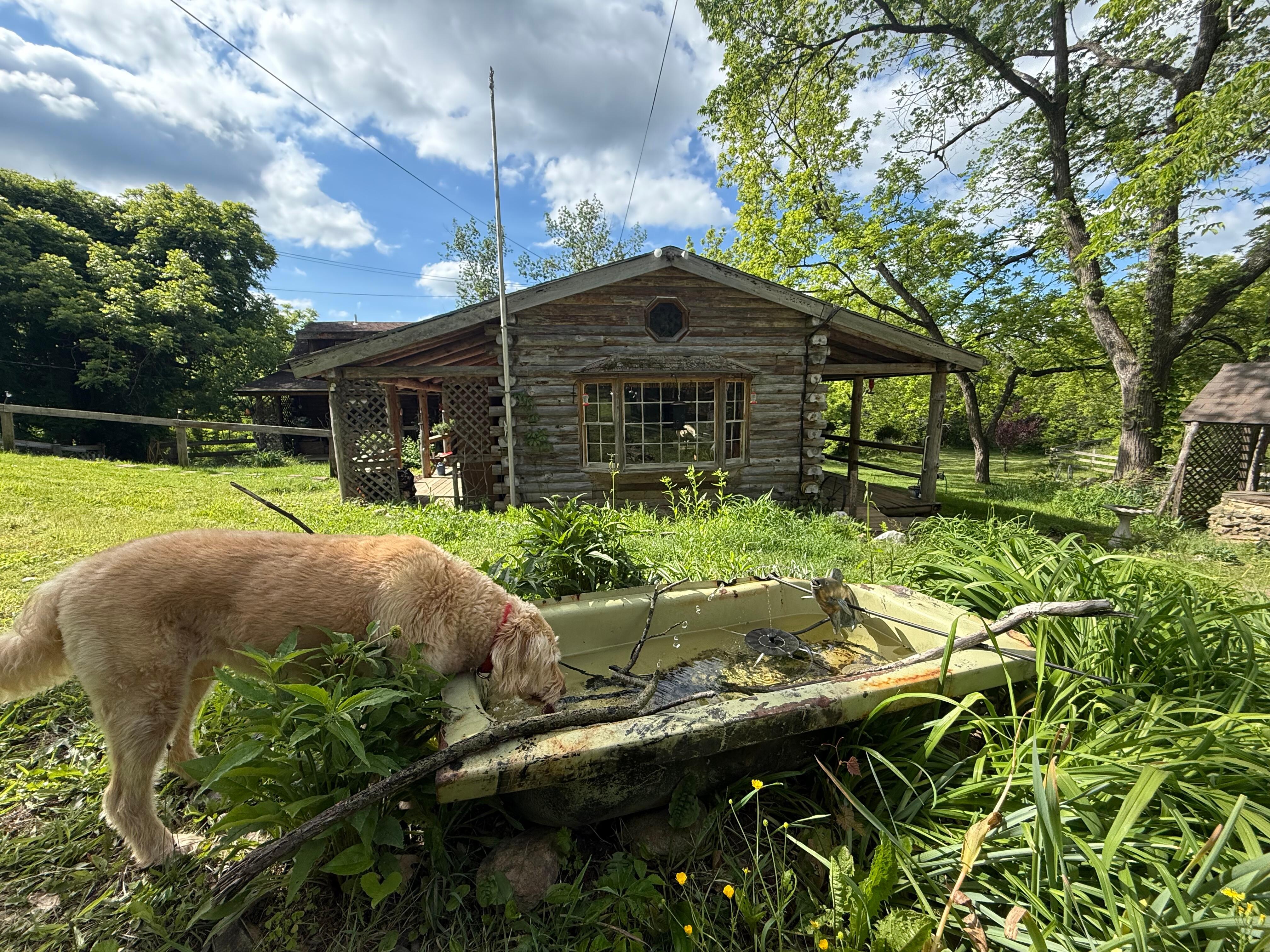 Main lodge