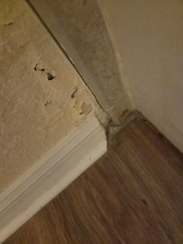 Mold
Water damage