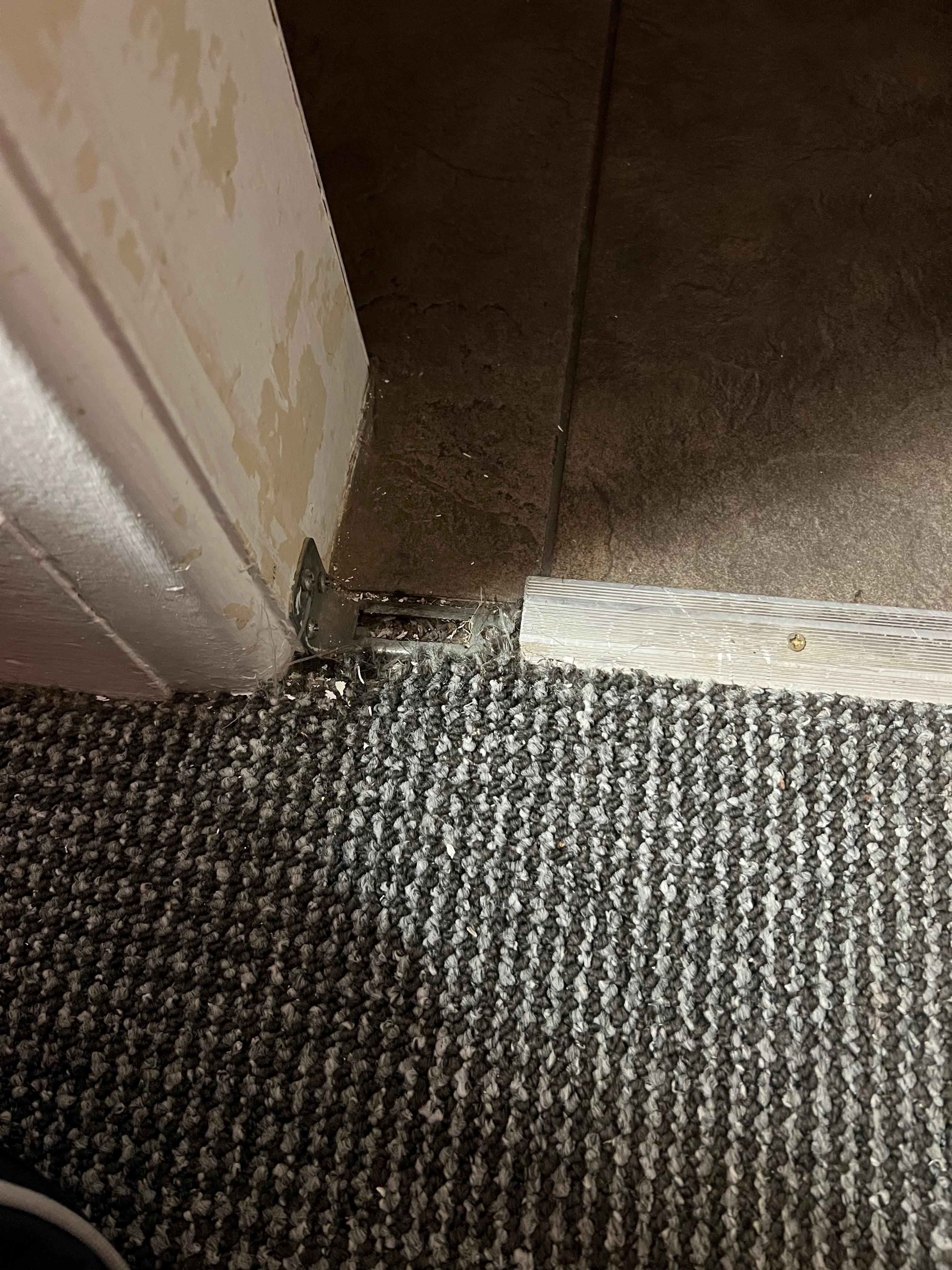 Carpet bar sharp edge