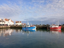 local harbour within yards