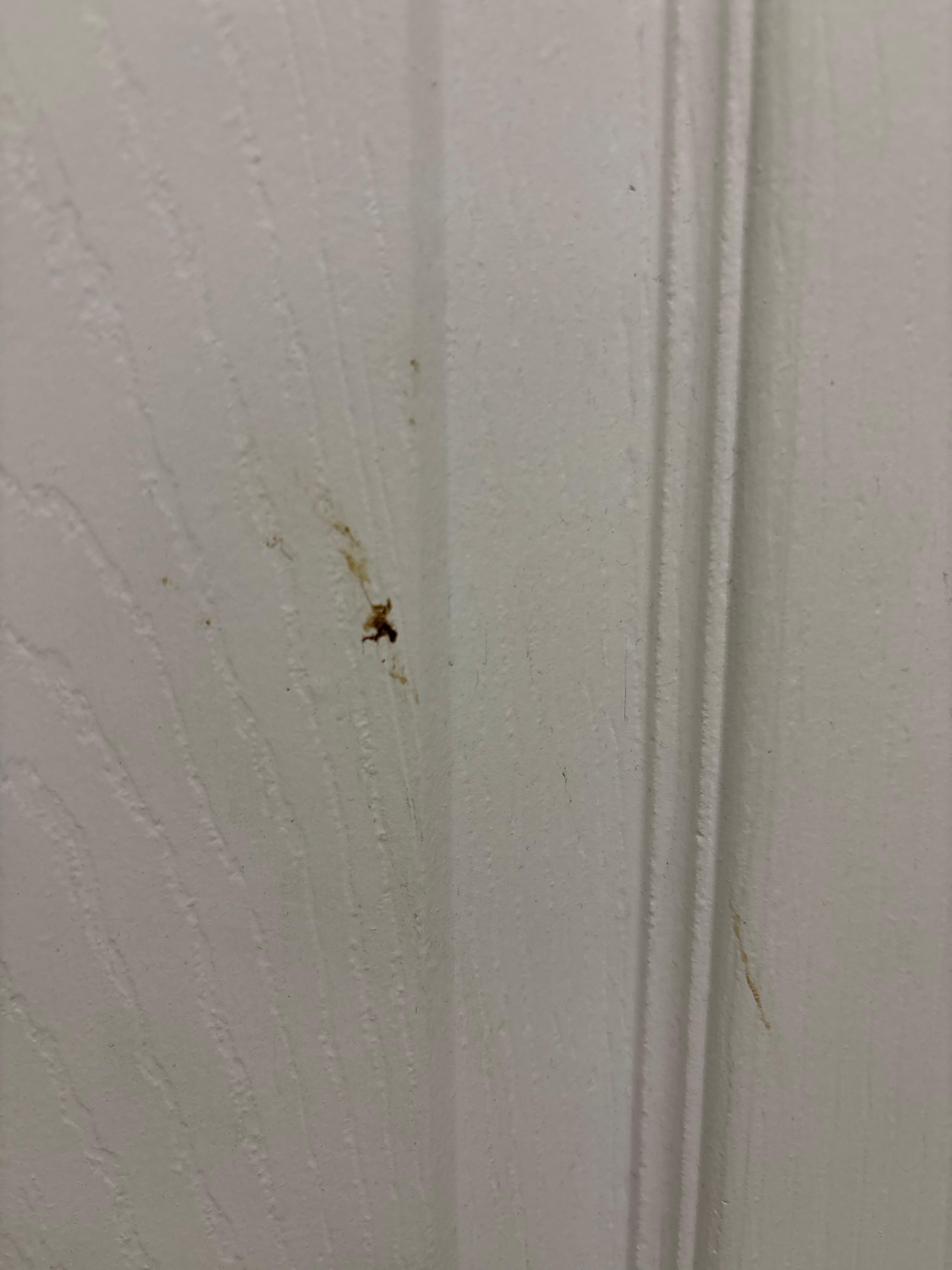 Don’t want to guess what this was on the bathroom wall. 