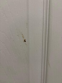 Don’t want to guess what this was on the bathroom wall.