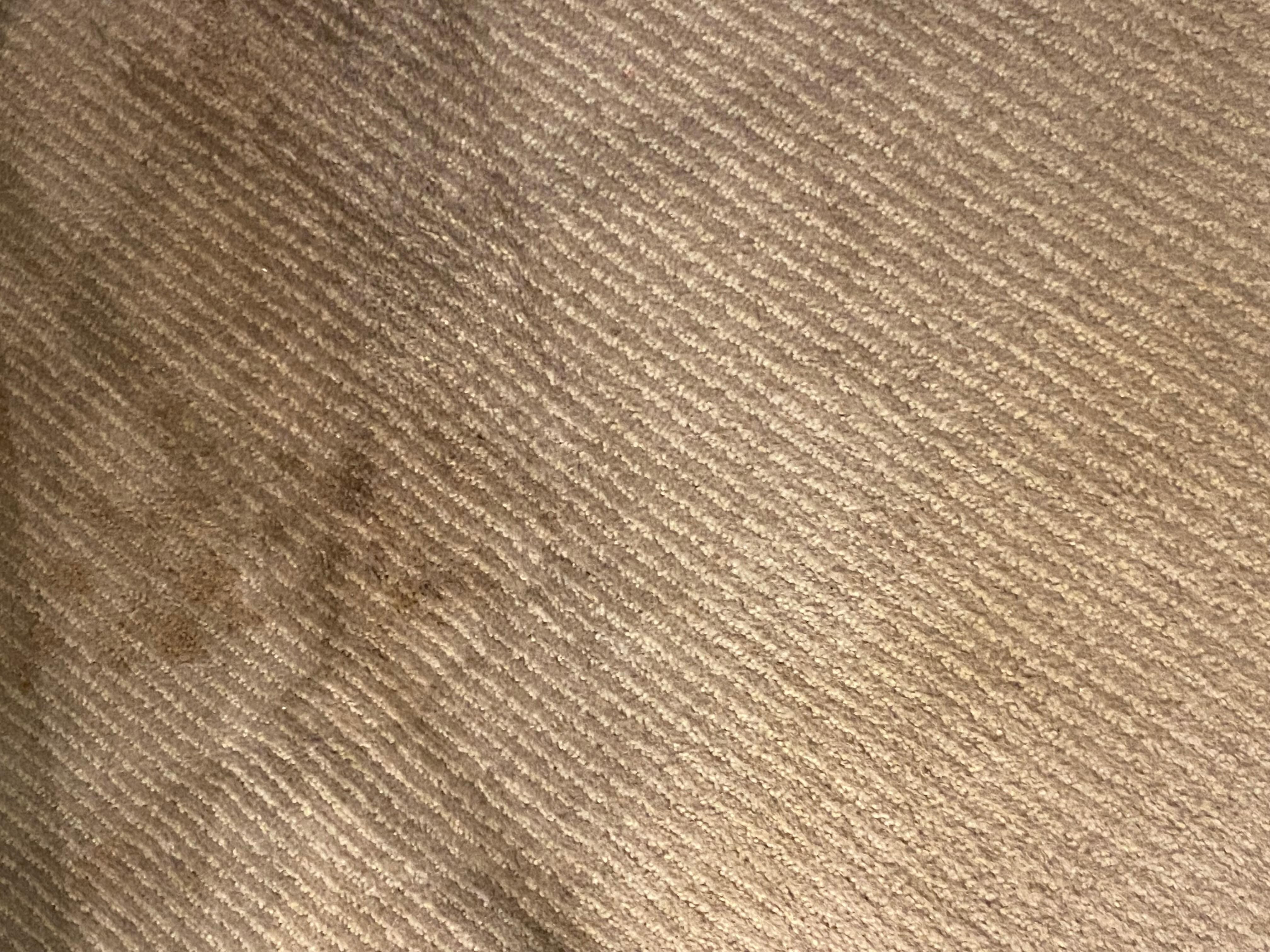 stained carpets/ iron burn but other stains too