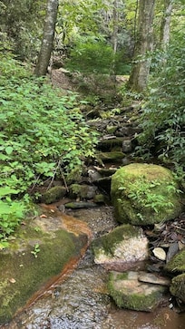 the creek running alongside property