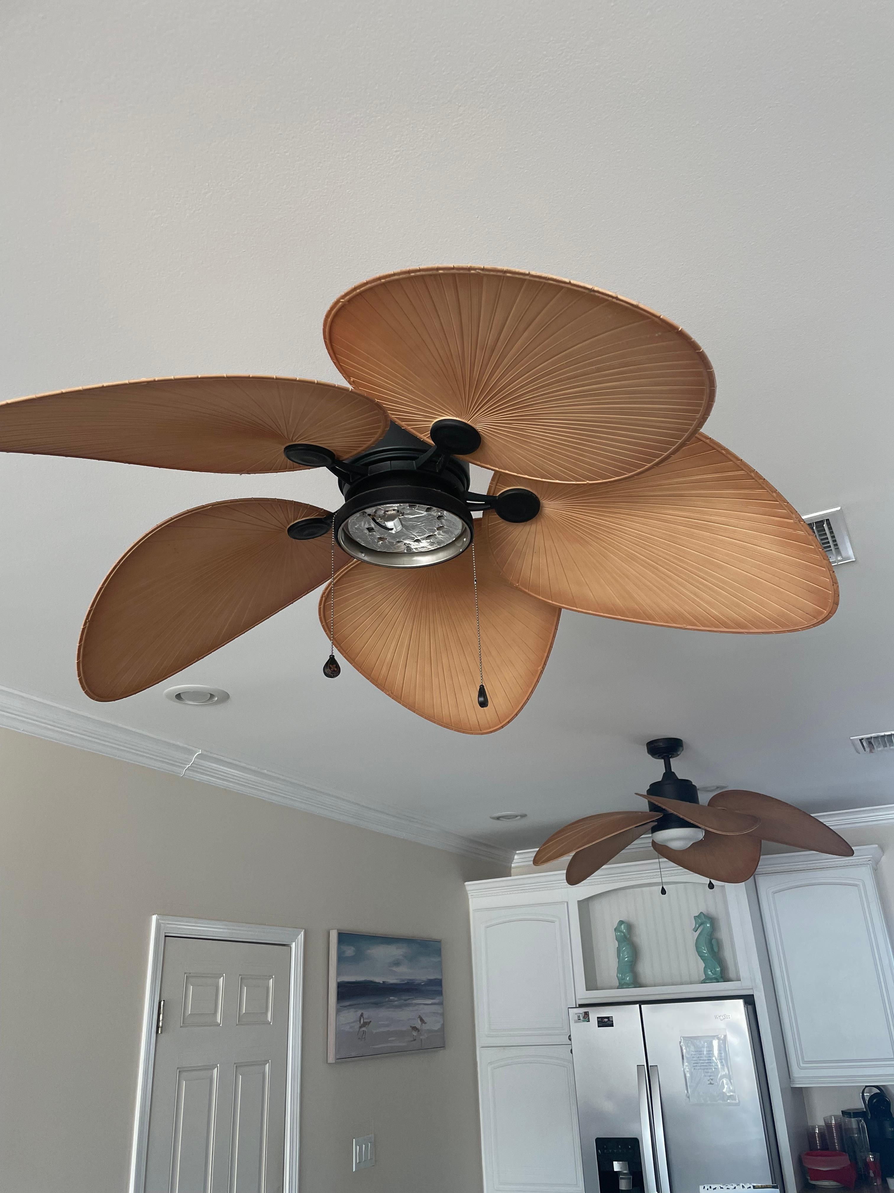 Broken/missing fan light