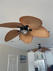 Broken/missing fan light