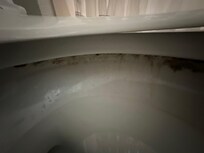 Toilet bowl