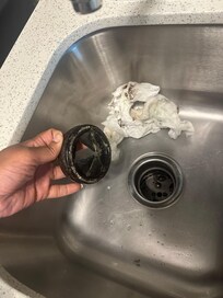 Garbage disposal mold and mildew.