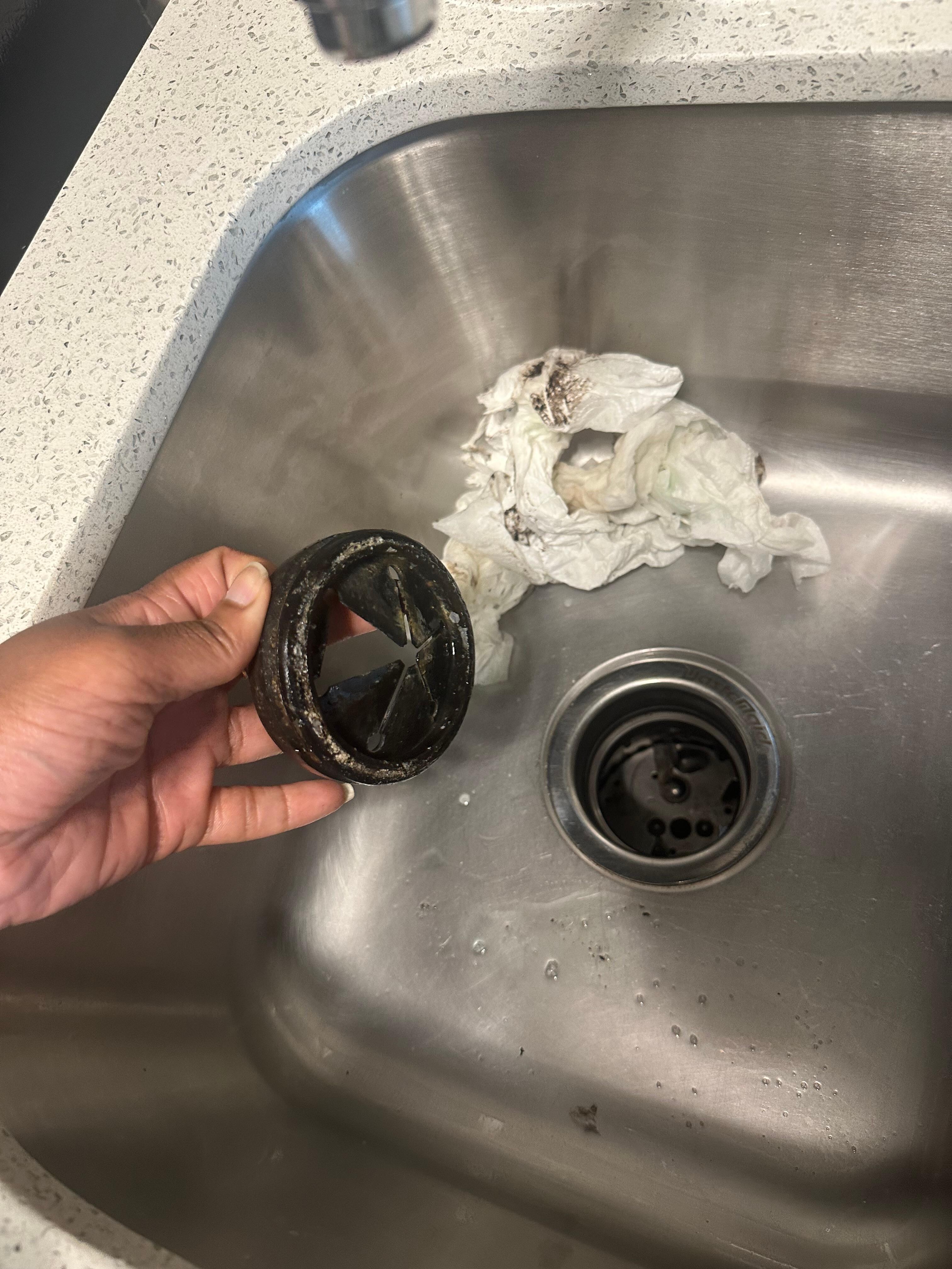 Garbage disposal mold and mildew.  