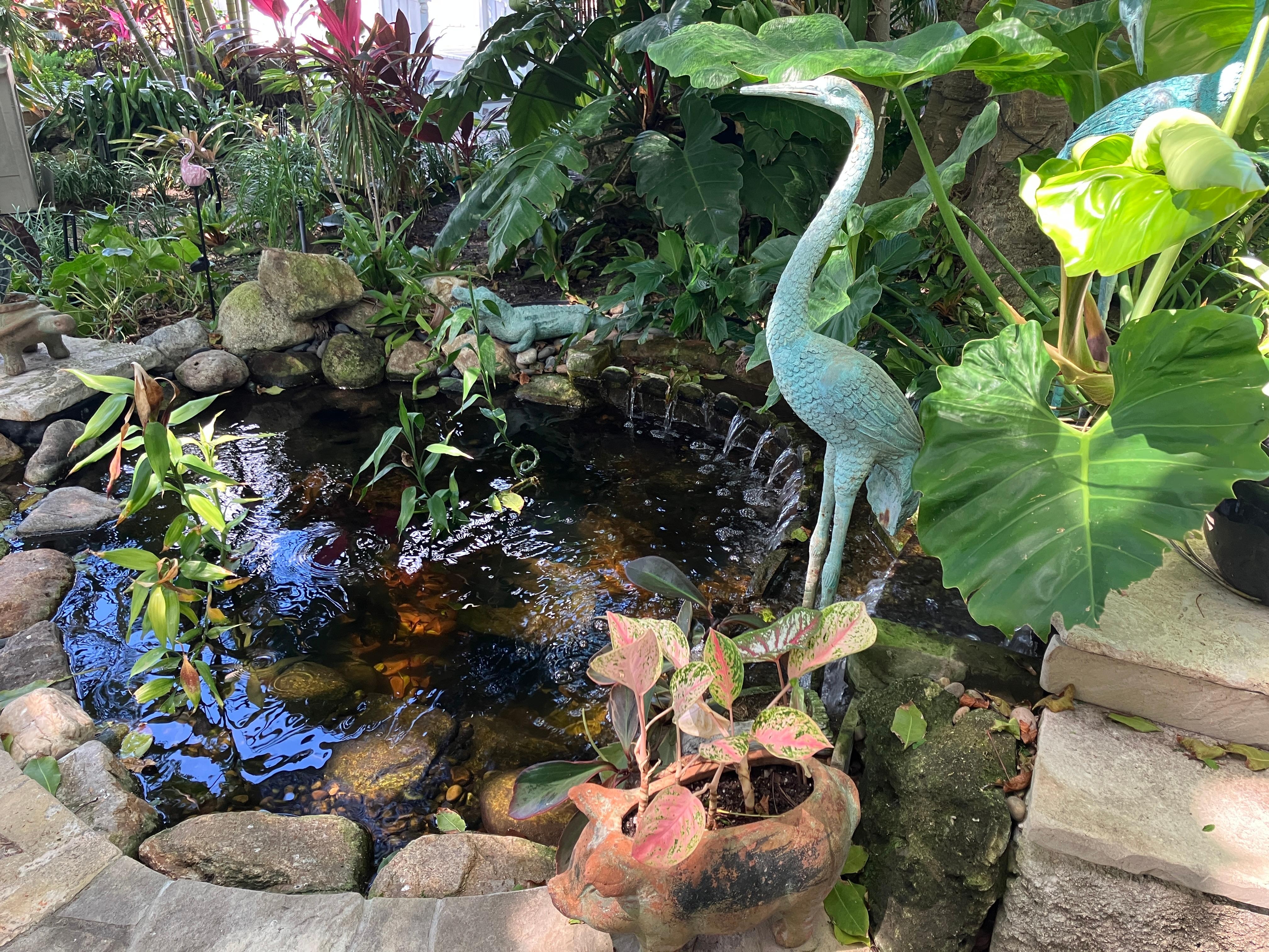 The peaceful garden out back.