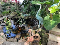 The peaceful garden out back.