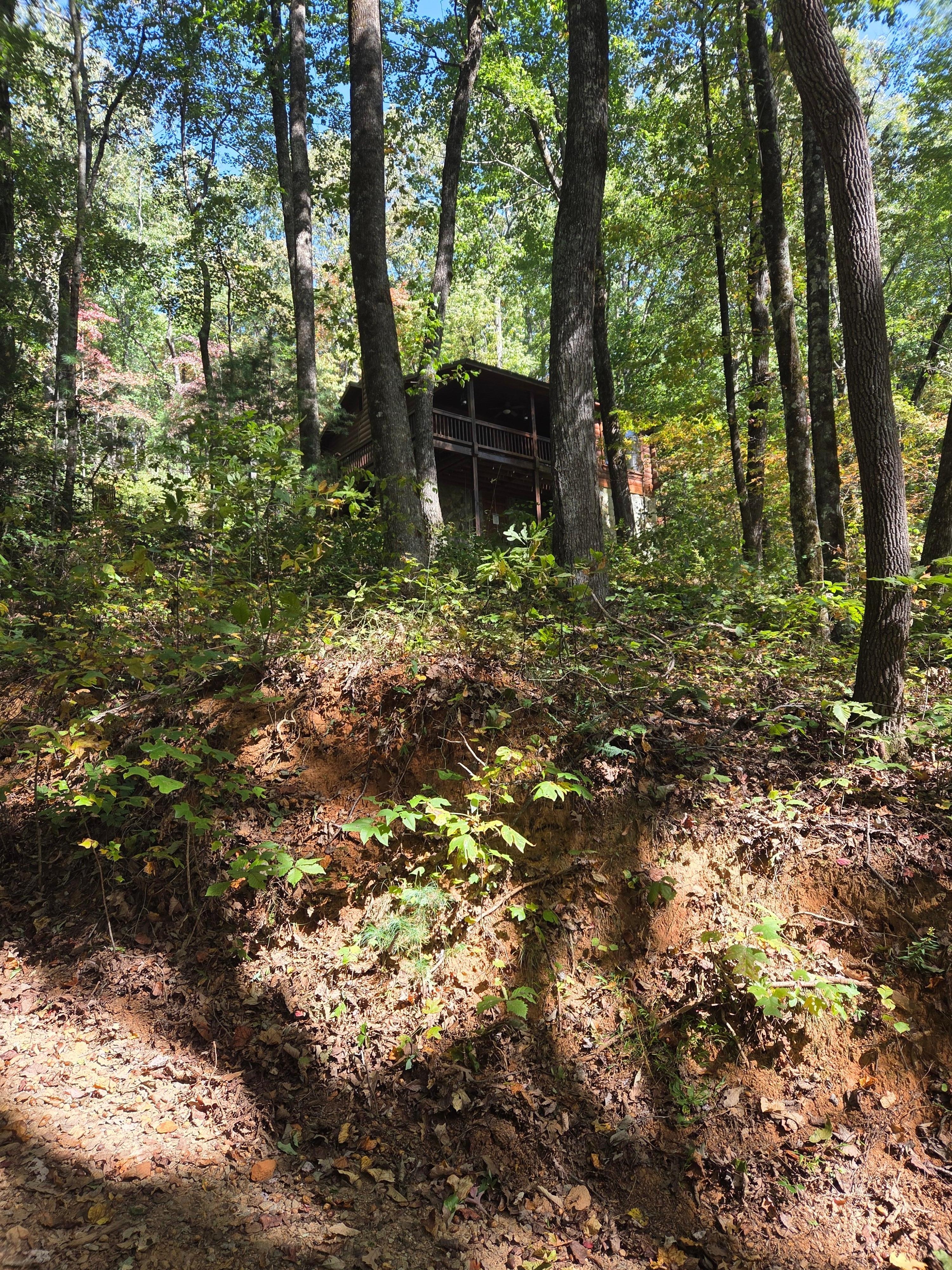 Low view looking up at the cabin