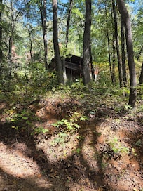 Low view looking up at the cabin