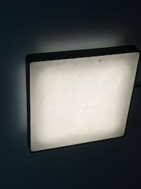 Light fixture with dead bugs