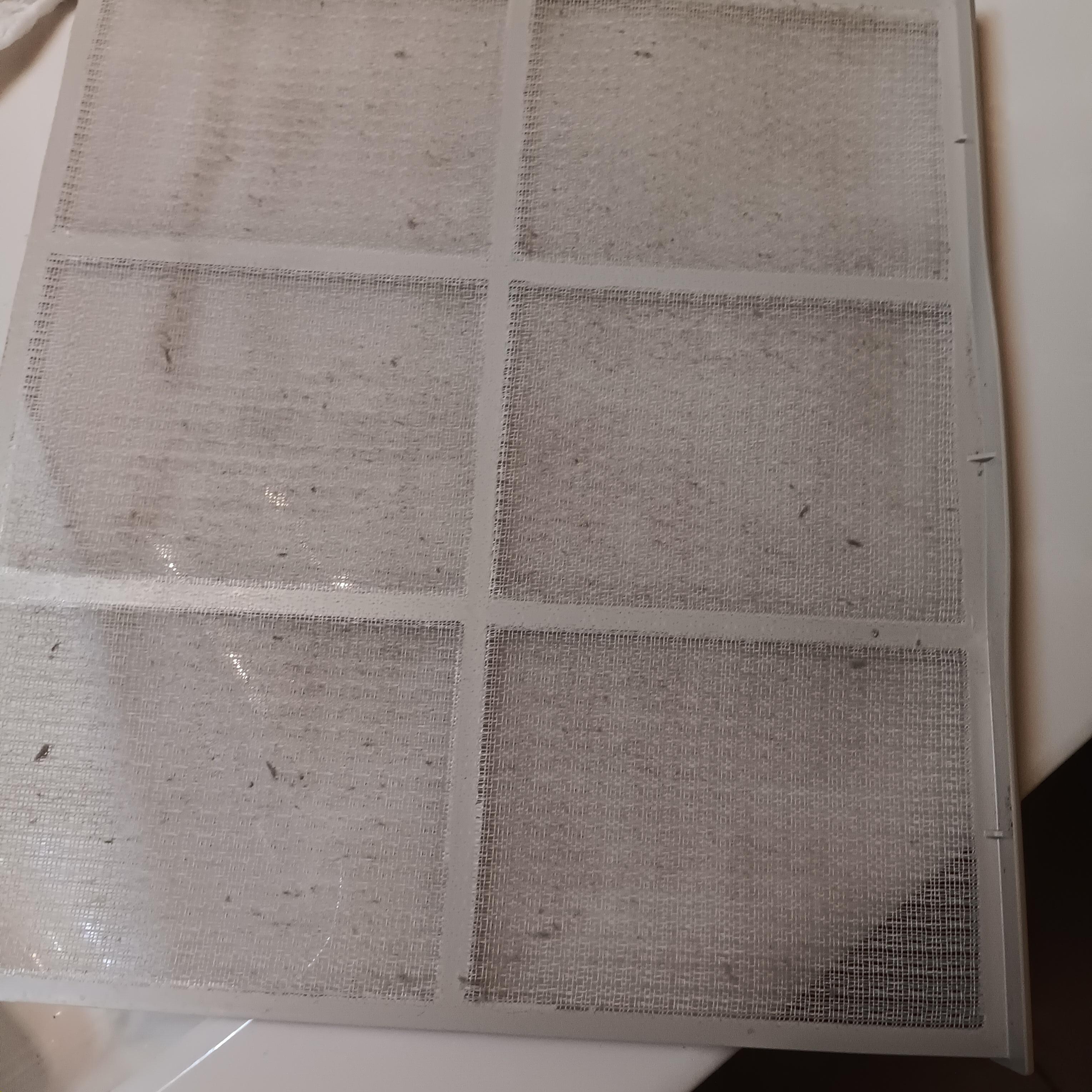 The other dirty air filter - from bedroom unit