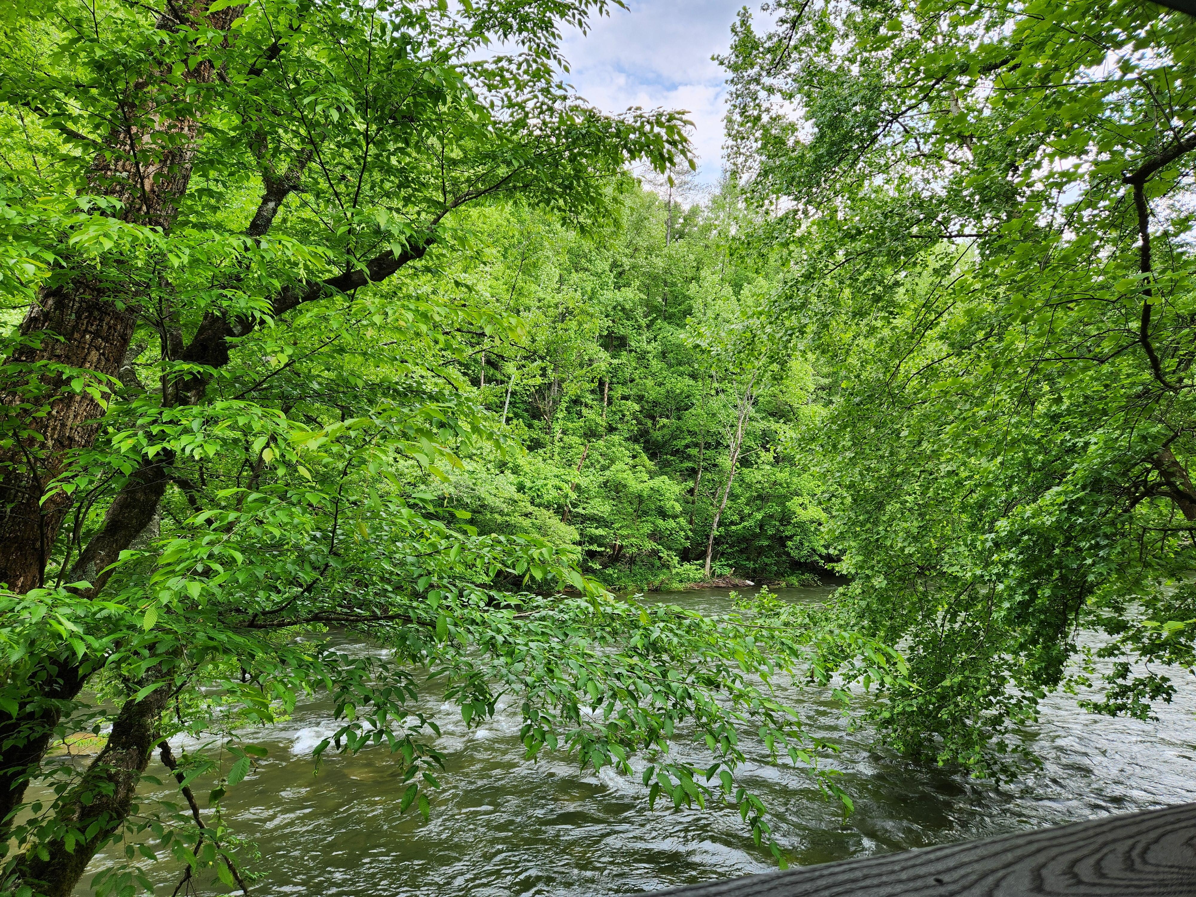 View from deck