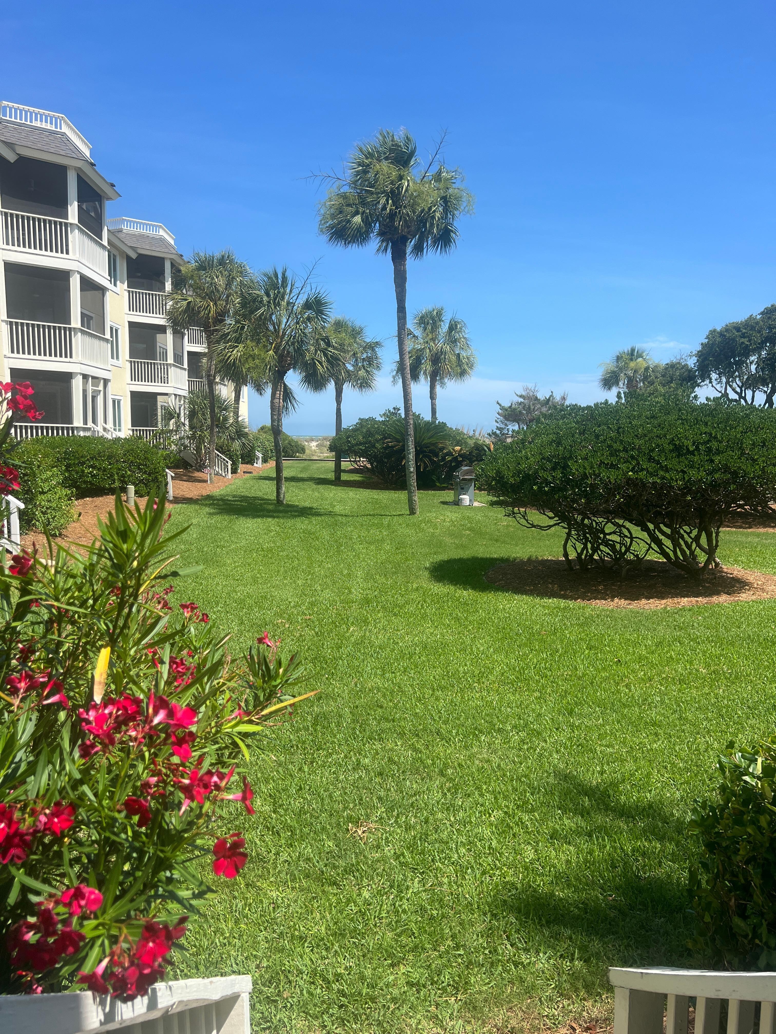 View from the back porch 