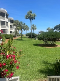 View from the back porch