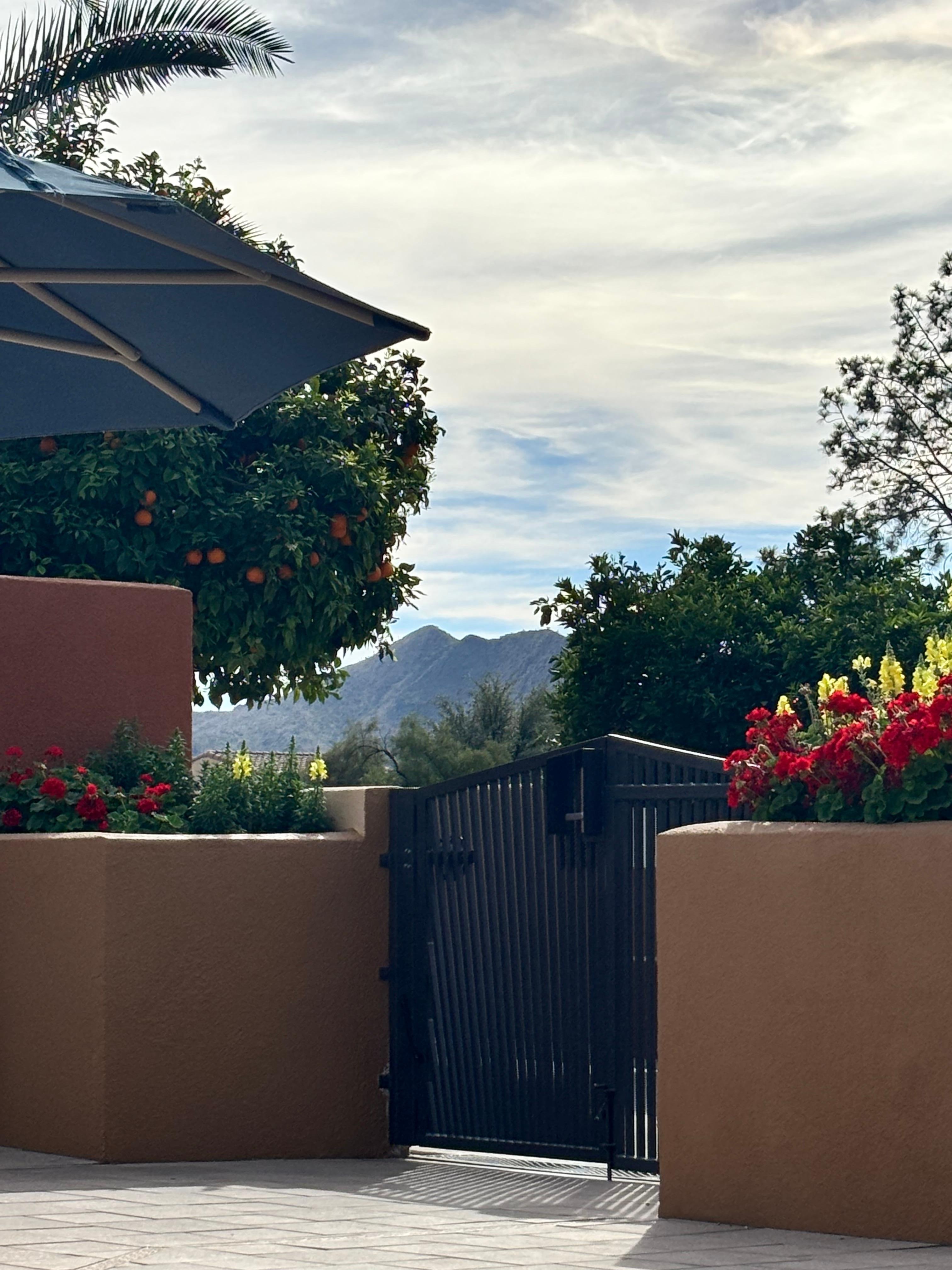 Sitting at pool looking out