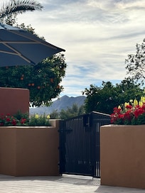 Sitting at pool looking out