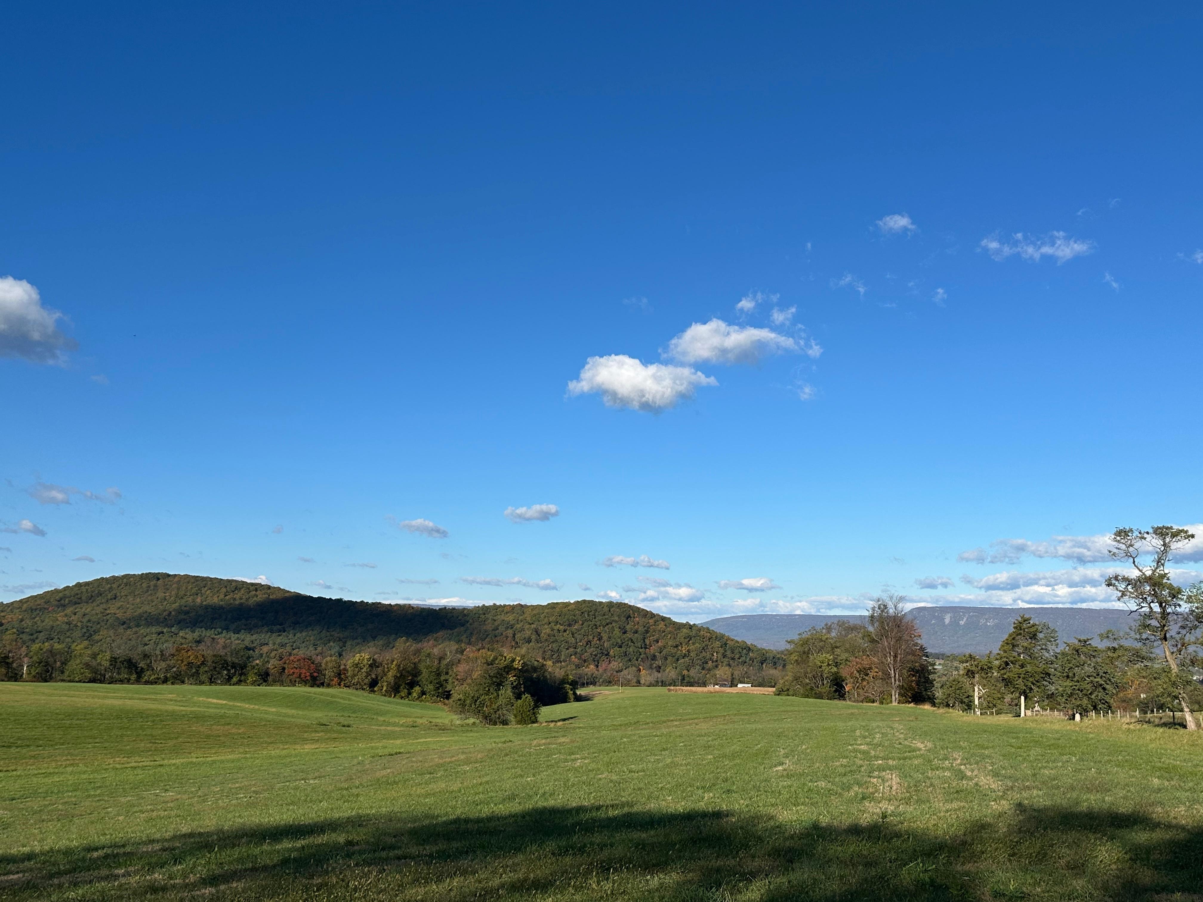 A mile down the road.  