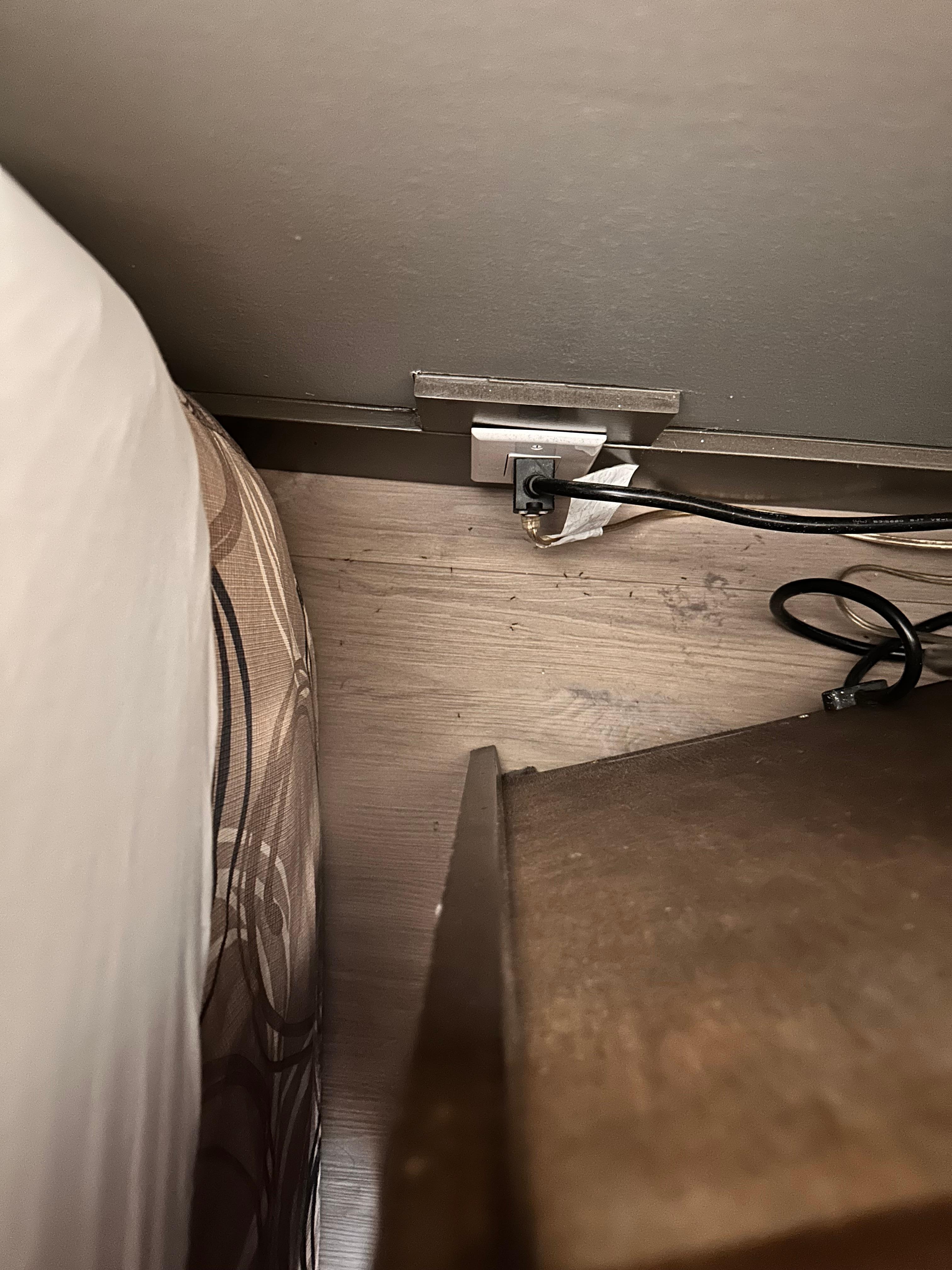 Ants in the room