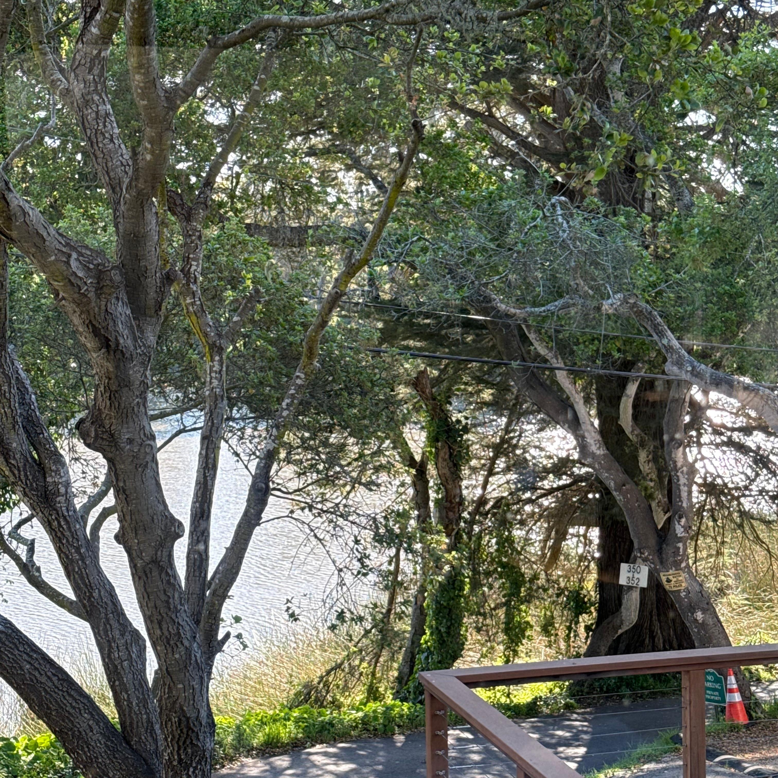 A view from the Kitchen 