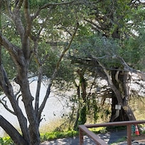 A view from the Kitchen