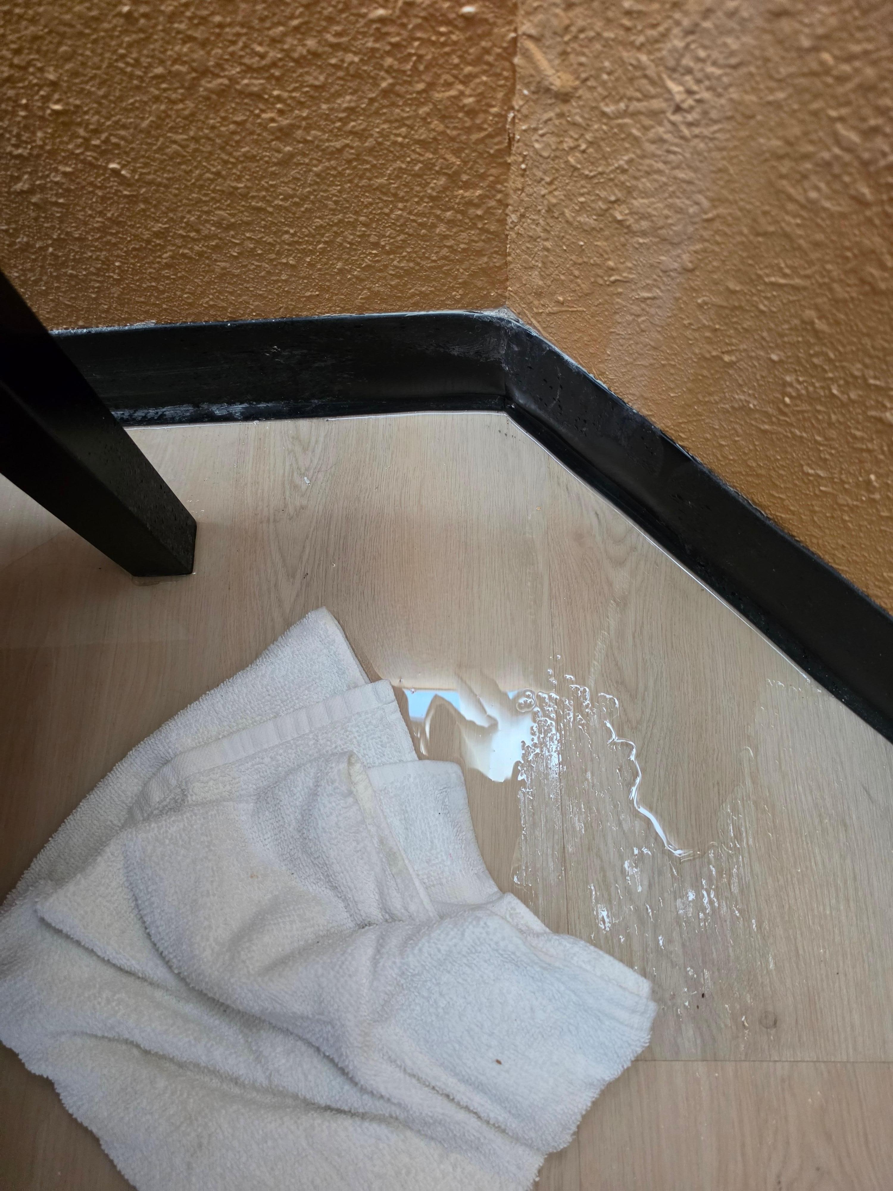 Water from the rain on the floor.