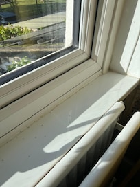 Windowsills dirty