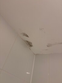 Black mould in the shower