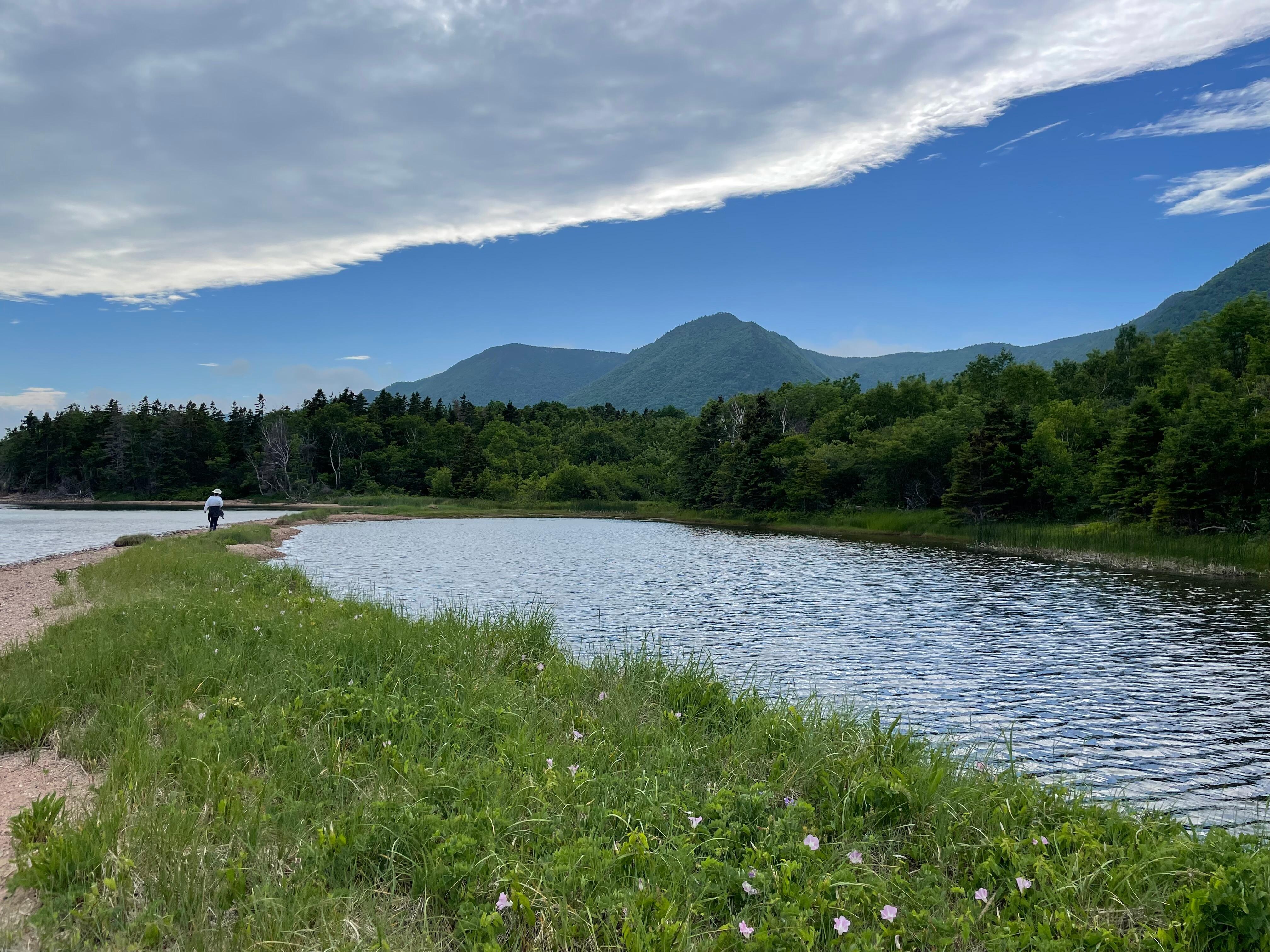 Lagoon easily walkable from property 
