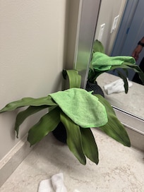 Cleaning supply left behind