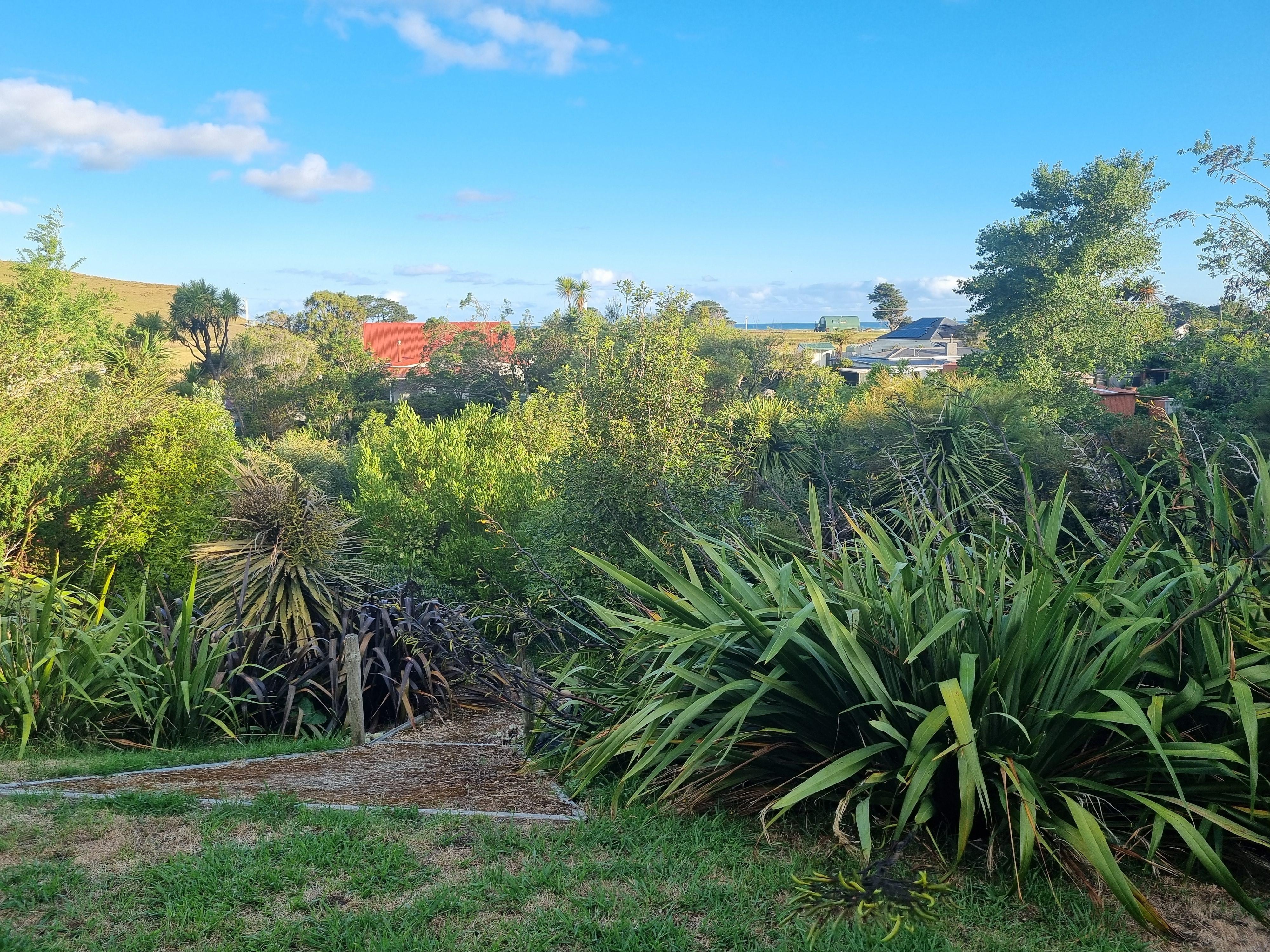 View from back of section, the green building is the gold club.
