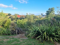 View from back of section, the green building is the gold club.