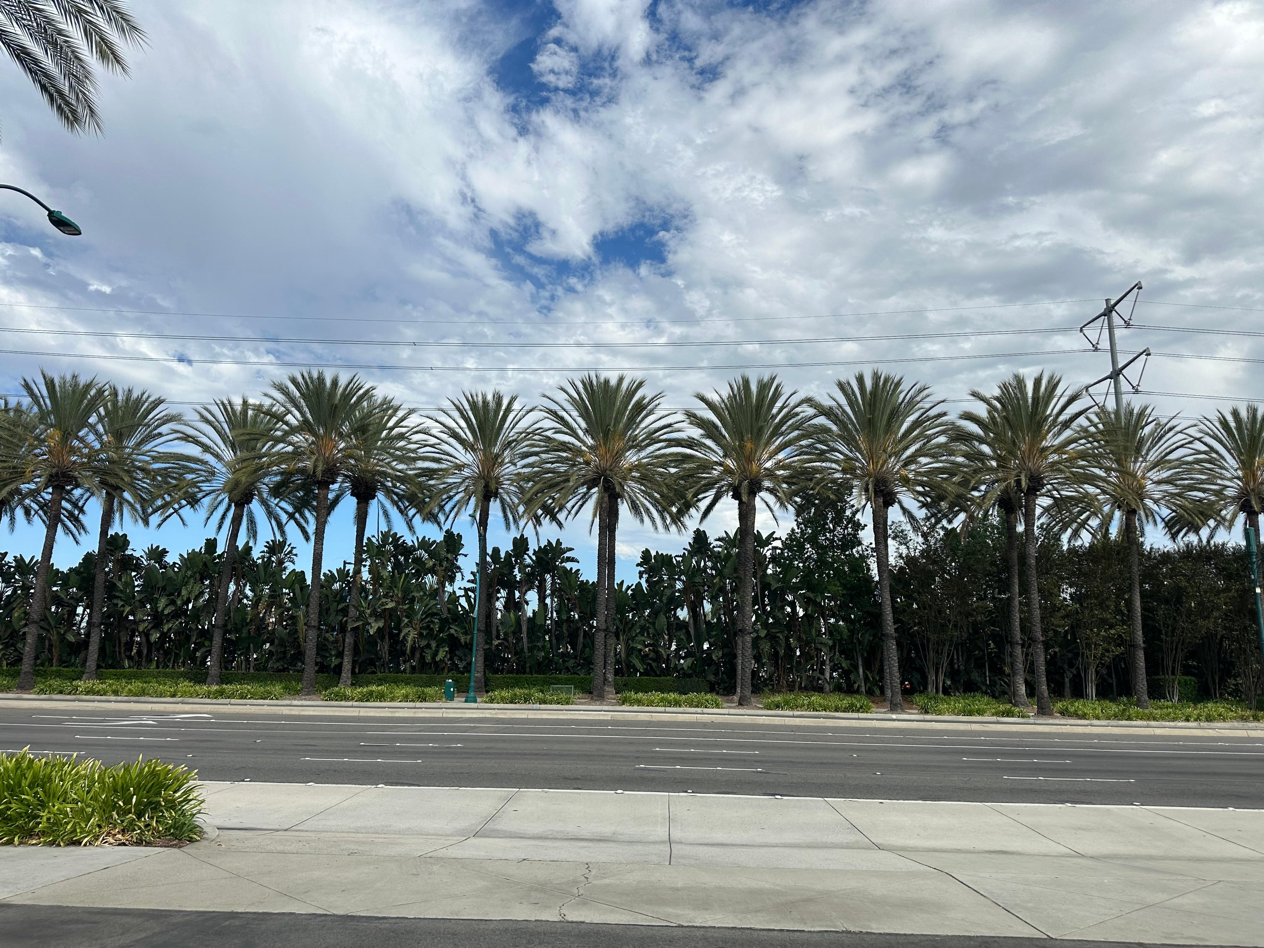 In front of the hotel