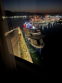 Watched The Celebrity Edge docking