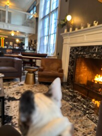 Cozy Fire is a Great Place to Meet New Friends!