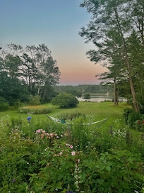 Evening in the Backyard