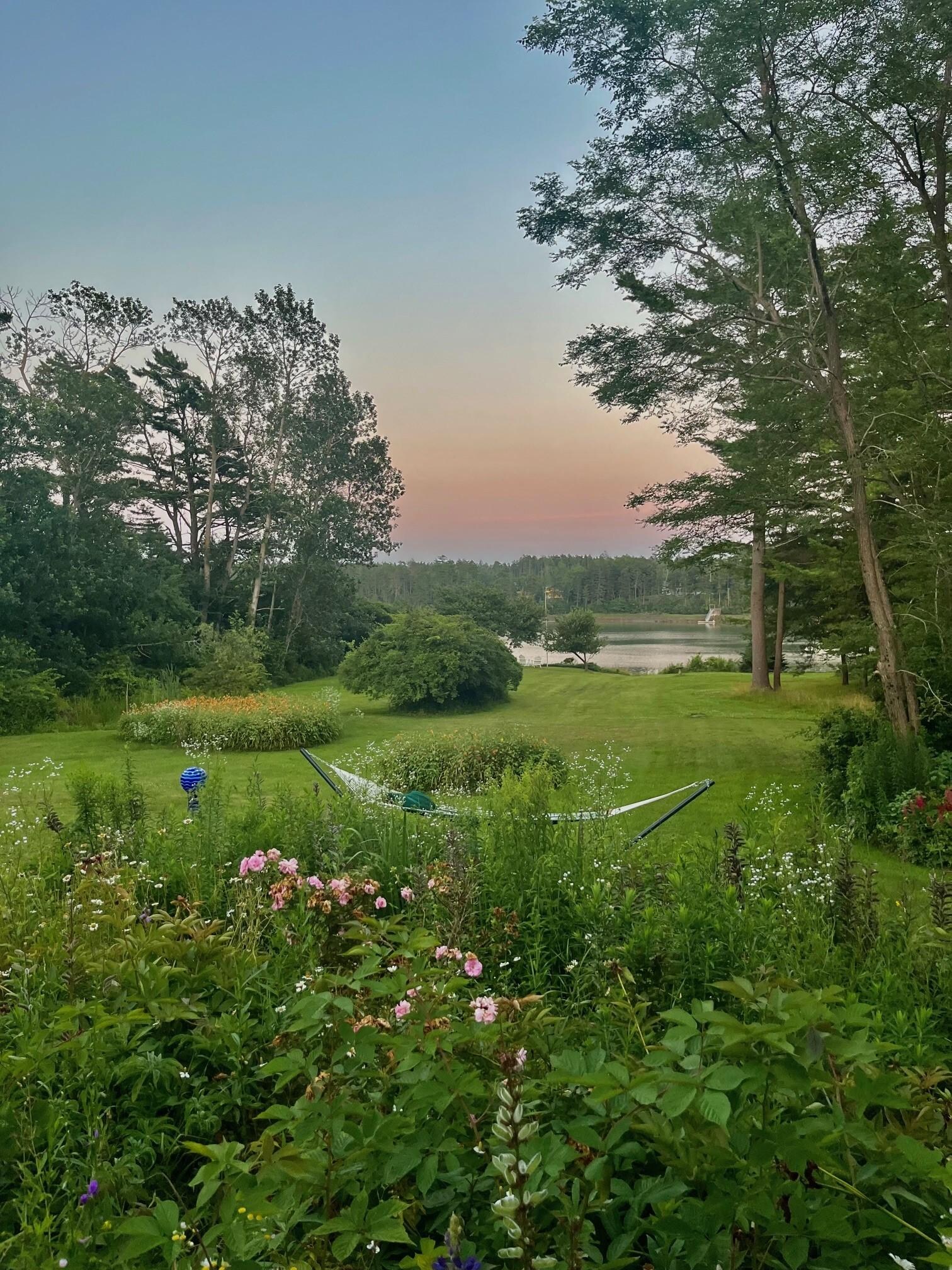 Evening in the Backyard