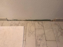Missing baseboards