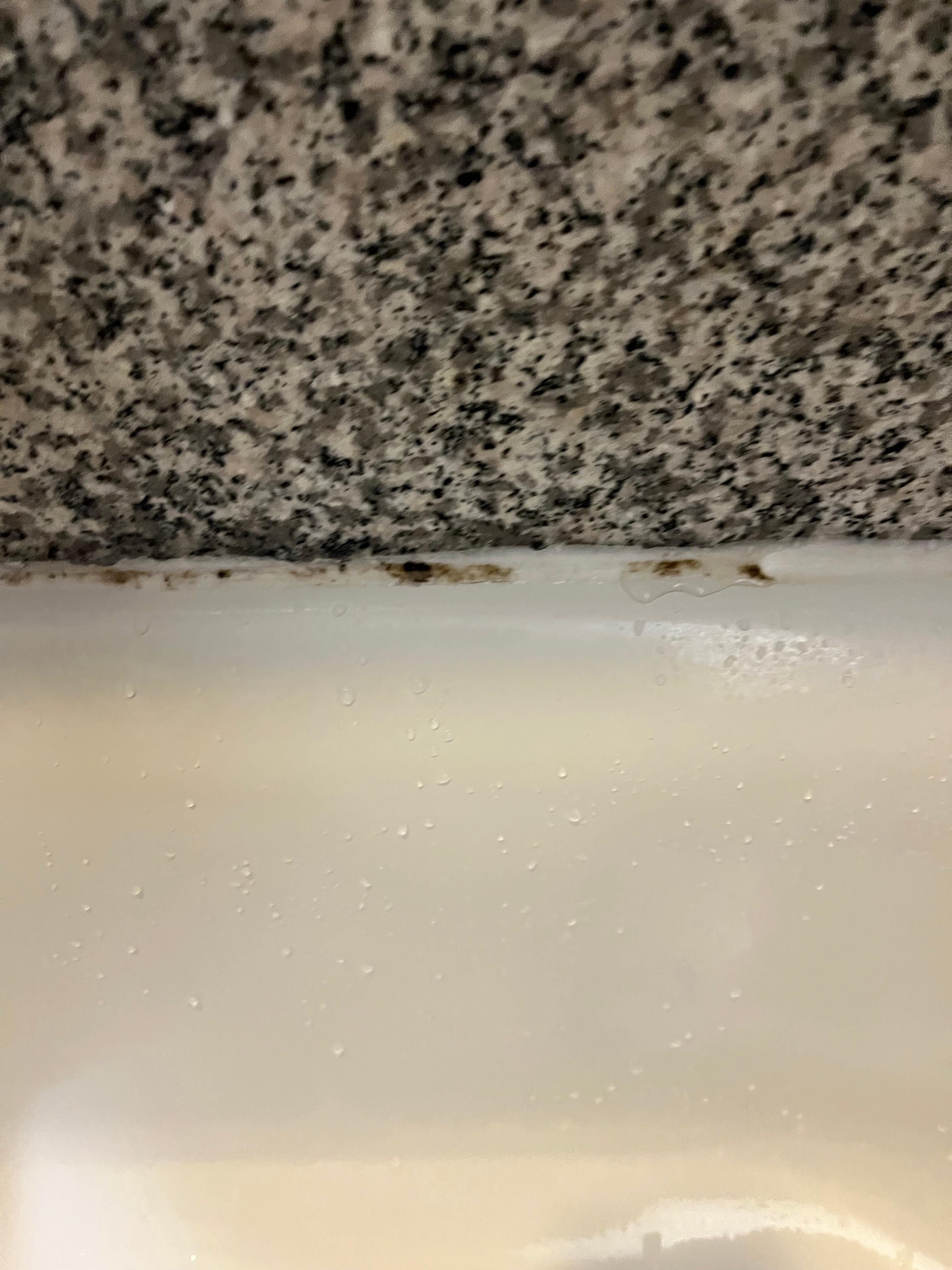 Grout mildew