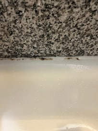 Grout mildew