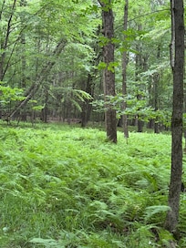 On the trails