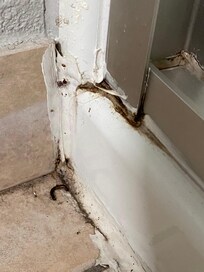 Shower door corner —is that a dead worm?