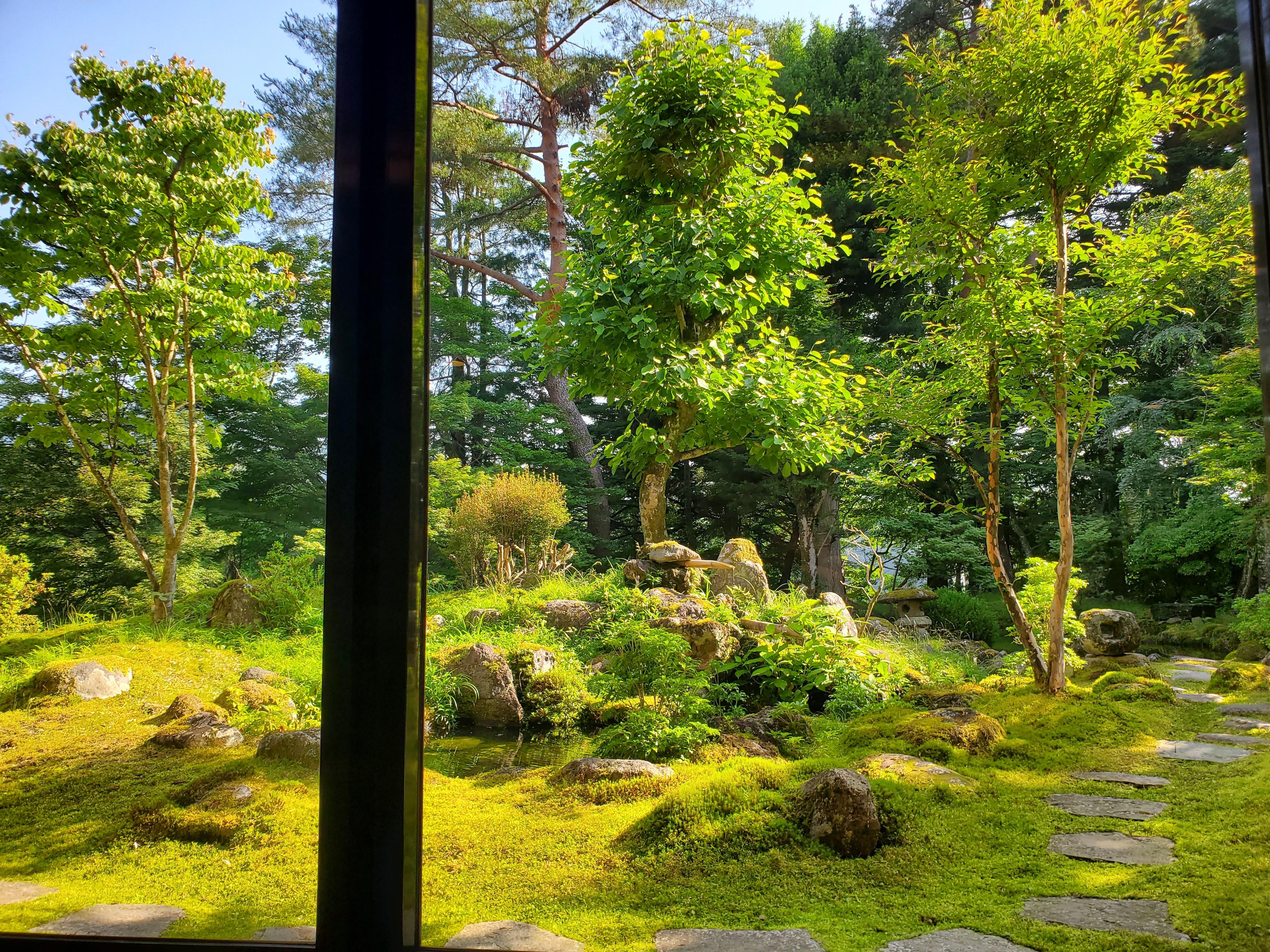 View of the gardens from the breakfast table