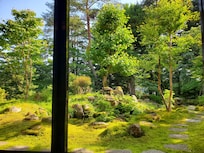 View of the gardens from the breakfast table